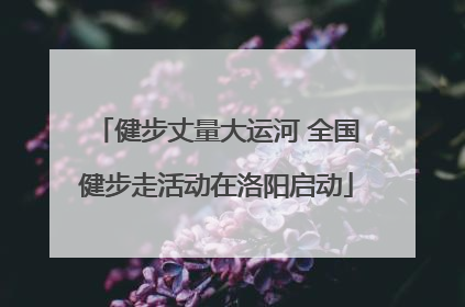 健步丈量大运河 全国健步走活动在洛阳启动