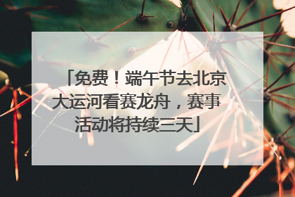 免费！端午节去北京大运河看赛龙舟，赛事活动将持续三天