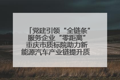 党建引领“全链条” 服务企业“零距离” 重庆市质标院助力新能源汽车产业链提升质量管理水平