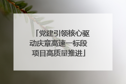 党建引领核心驱动庆章高速一标段项目高质量推进