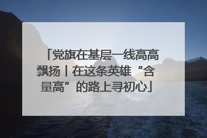 党旗在基层一线高高飘扬丨在这条英雄“含量高”的路上寻初心
