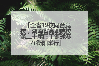 全省19校同台竞技，湖南省高职院校第二十届职工篮球赛在衡阳举行