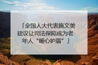 全国人大代表施文美建议让司法保障成为老年人“暖心护盾”