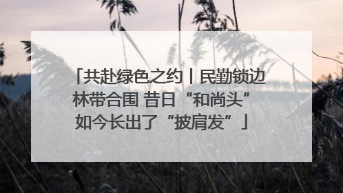 共赴绿色之约丨民勤锁边林带合围 昔日“和尚头”如今长出了“披肩发”