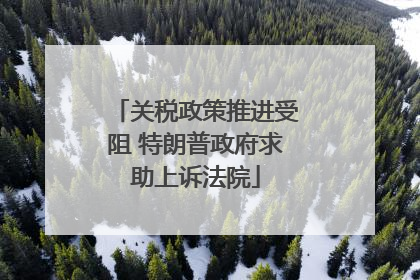 关税政策推进受阻 特朗普政府求助上诉法院