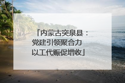 内蒙古突泉县：党建引领聚合力 以工代赈促增收