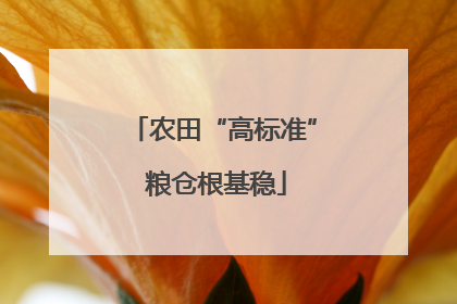 农田“高标准” 粮仓根基稳