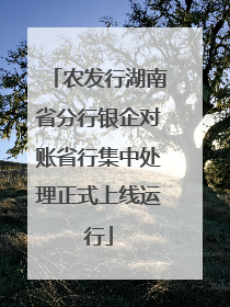 农发行湖南省分行银企对账省行集中处理正式上线运行