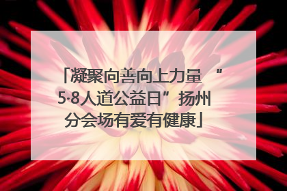 凝聚向善向上力量 “5·8人道公益日”扬州分会场有爱有健康