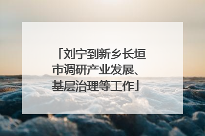 刘宁到新乡长垣市调研产业发展、基层治理等工作
