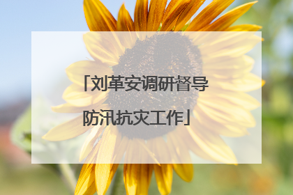 刘革安调研督导防汛抗灾工作