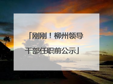 刚刚！柳州领导干部任职前公示