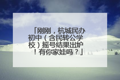 刚刚，杭城民办初中（含民转公学校）摇号结果出炉！有你家娃吗？