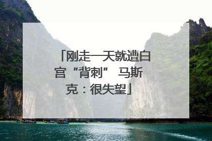 刚走一天就遭白宫“背刺” 马斯克：很失望