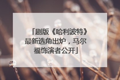 剧版《哈利波特》最新选角出炉，马尔福饰演者公开