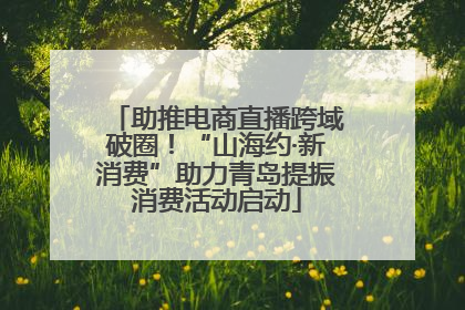 助推电商直播跨域破圈！“山海约·新消费”助力青岛提振消费活动启动