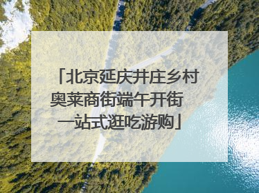 北京延庆井庄乡村奥莱商街端午开街 一站式逛吃游购