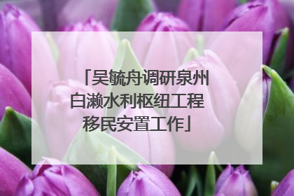 吴毓舟调研泉州白濑水利枢纽工程移民安置工作