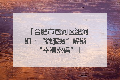 合肥市包河区淝河镇：“微服务”解锁“幸福密码”