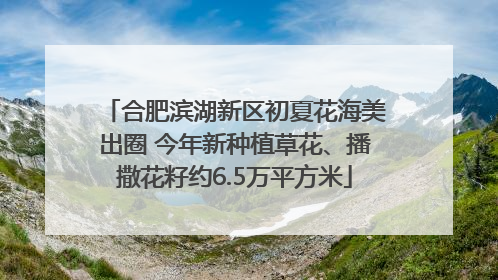 合肥滨湖新区初夏花海美出圈 今年新种植草花、播撒花籽约6.5万平方米