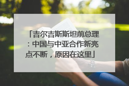 吉尔吉斯斯坦前总理：中国与中亚合作新亮点不断，原因在这里