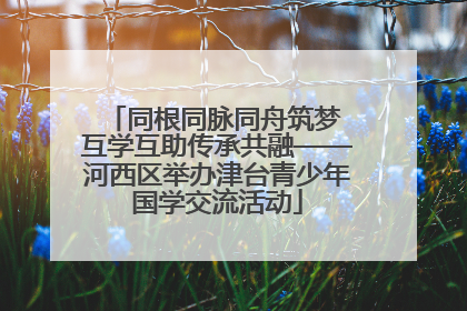 同根同脉同舟筑梦 互学互助传承共融——河西区举办津台青少年国学交流活动