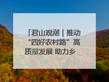 君山观潮｜推动“四好农村路”高质量发展 助力乡村振兴出新彩