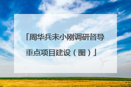 周华兵未小刚调研督导重点项目建设（图）