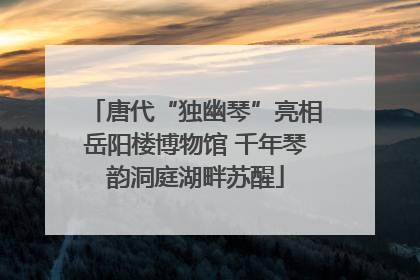 唐代“独幽琴”亮相岳阳楼博物馆 千年琴韵洞庭湖畔苏醒