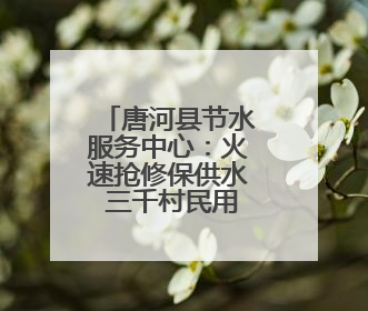 唐河县节水服务中心：火速抢修保供水 三千村民用水无忧