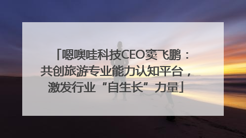 嗯噢哇科技CEO窦飞鹏：共创旅游专业能力认知平台，激发行业“自生长”力量