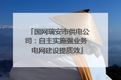 国网瑞安市供电公司：自主实施强业务 电网建设提质效