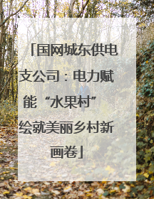 国网城东供电支公司：电力赋能“水果村” 绘就美丽乡村新画卷