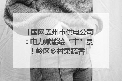 国网孟州市供电公司：电力赋能绘“丰”景！岭区乡村果蔬香