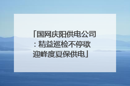 国网庆阳供电公司：精益巡检不停歇 迎峰度夏保供电