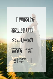 国网新蔡县供电公司启动营商“新引擎”