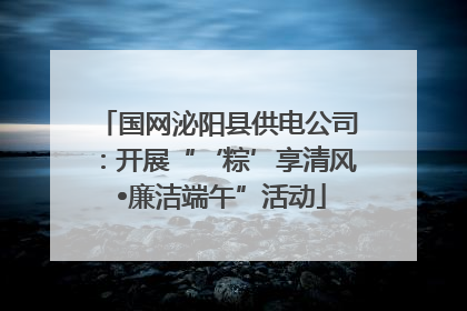 国网泌阳县供电公司：开展“‘粽’享清风 •廉洁端午”活动