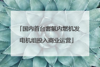 国内首台套氢内燃机发电机组投入商业运营