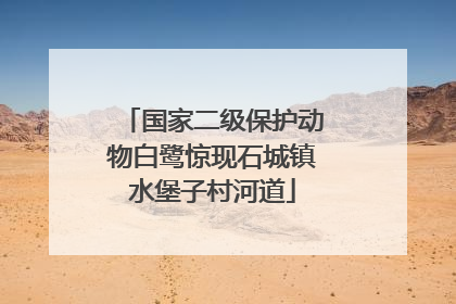 国家二级保护动物白鹭惊现石城镇水堡子村河道