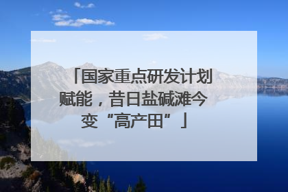 国家重点研发计划赋能，昔日盐碱滩今变“高产田”