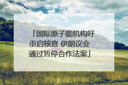 国际原子能机构吁重启核查 伊朗议会通过暂停合作法案