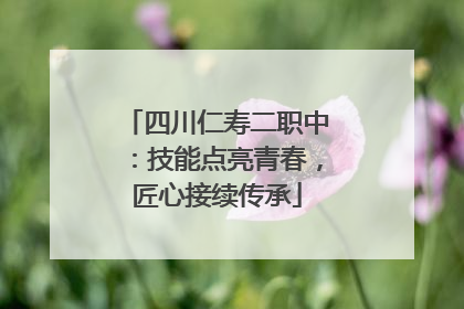 四川仁寿二职中：技能点亮青春，匠心接续传承