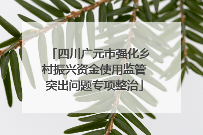 四川广元市强化乡村振兴资金使用监管突出问题专项整治