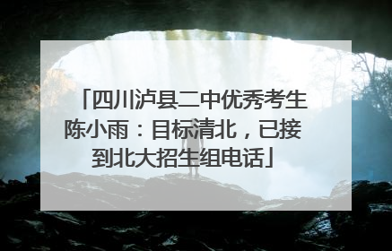 四川泸县二中优秀考生陈小雨：目标清北，已接到北大招生组电话