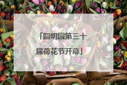 圆明园第三十届荷花节开幕