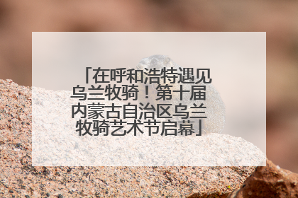 在呼和浩特遇见乌兰牧骑！第十届内蒙古自治区乌兰牧骑艺术节启幕