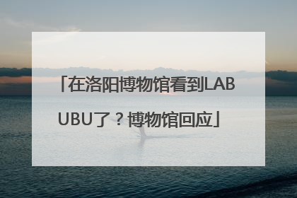 在洛阳博物馆看到LABUBU了？博物馆回应