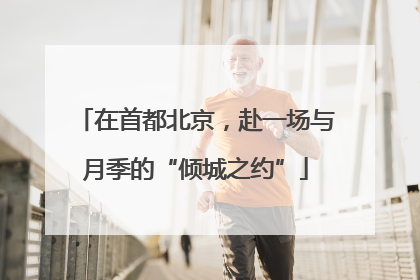 在首都北京，赴一场与月季的“倾城之约”