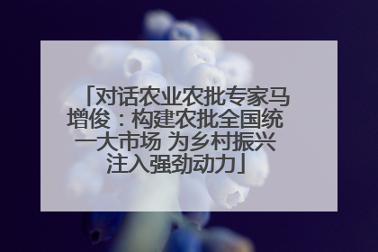对话农业农批专家马增俊：构建农批全国统一大市场 为乡村振兴注入强劲动力