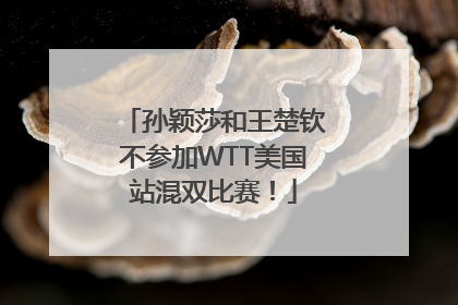 孙颖莎和王楚钦不参加WTT美国站混双比赛！